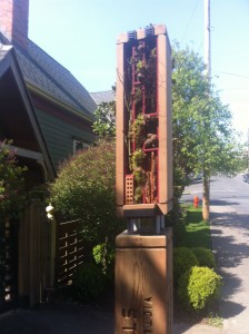 Insect house