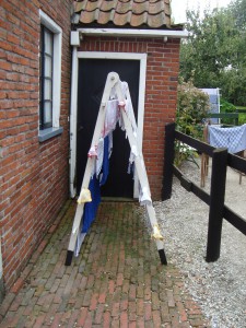 Trip to the Netherlands 239